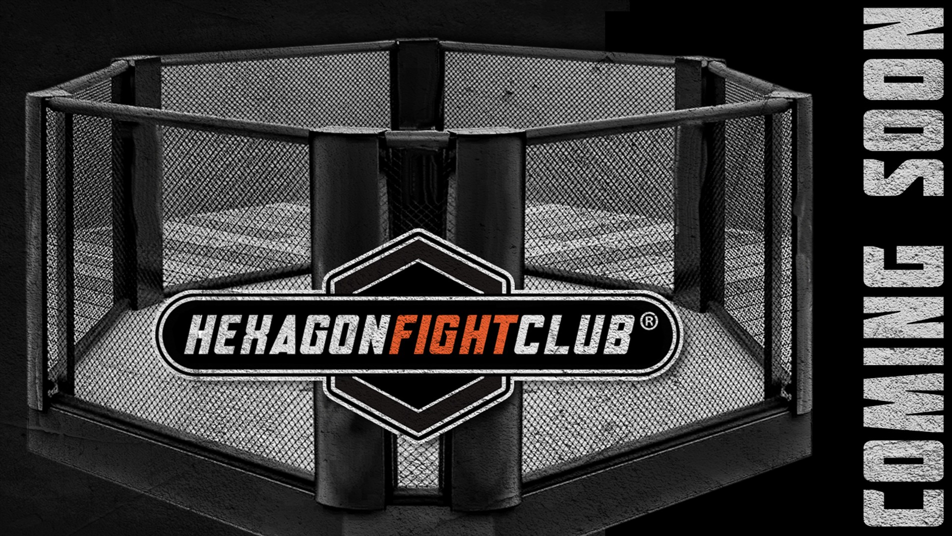 hexagonfightclub.de-05